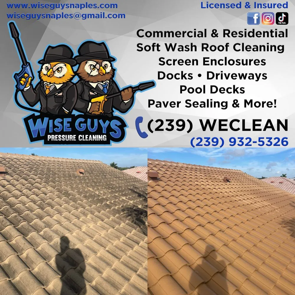 Slide of Wise Guys Pressure Cleaning