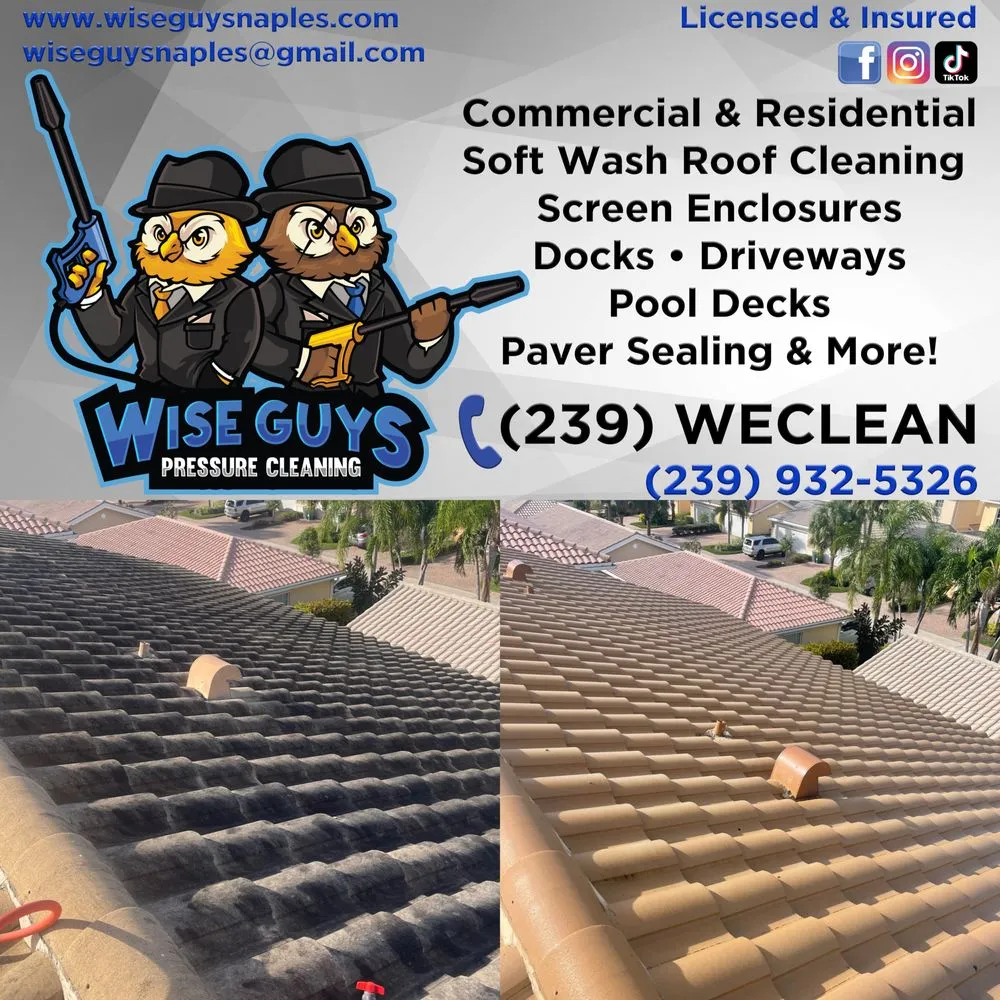 Slide of Wise Guys Pressure Cleaning
