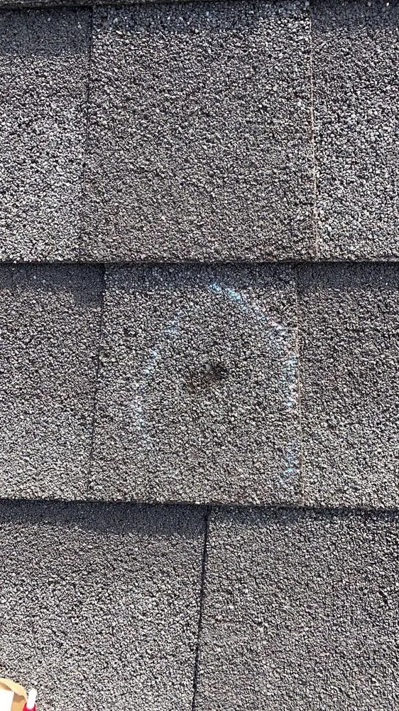 Slide of Wiseguy Contracting