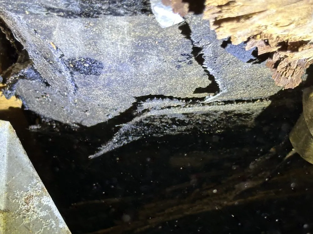 Slide of Wizard Roofing