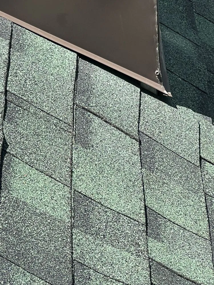 Slide of WM Brooks III