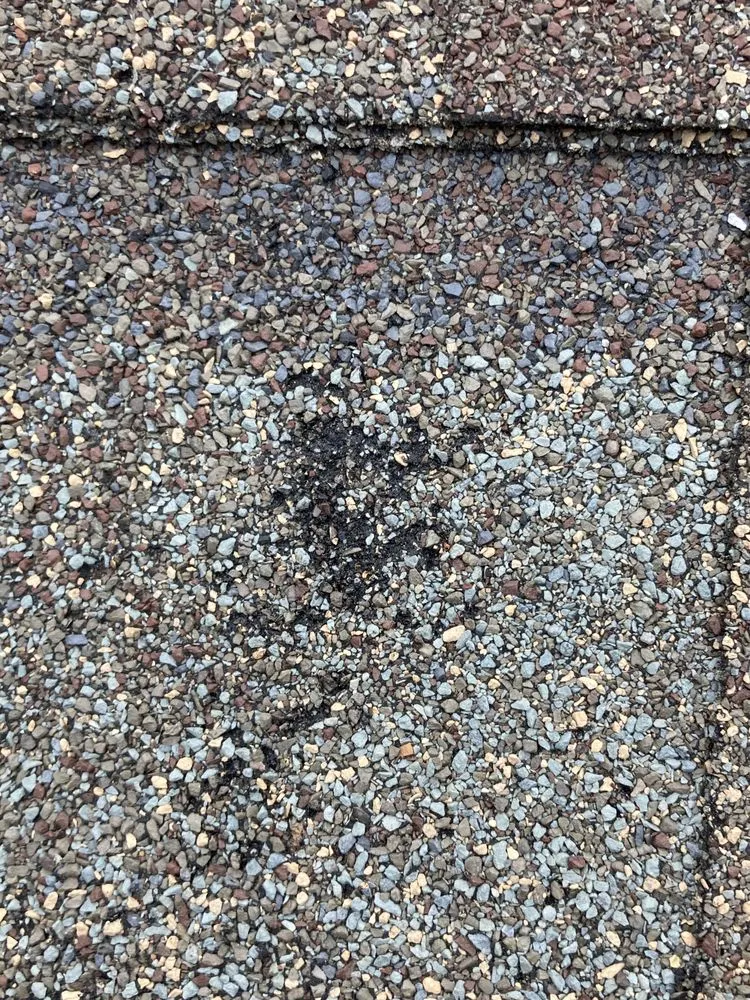 Slide of WM Brooks III