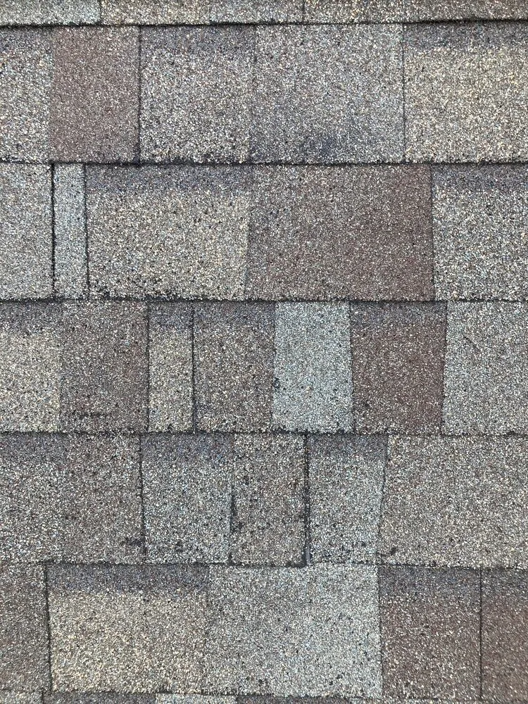 Slide of WM Brooks III