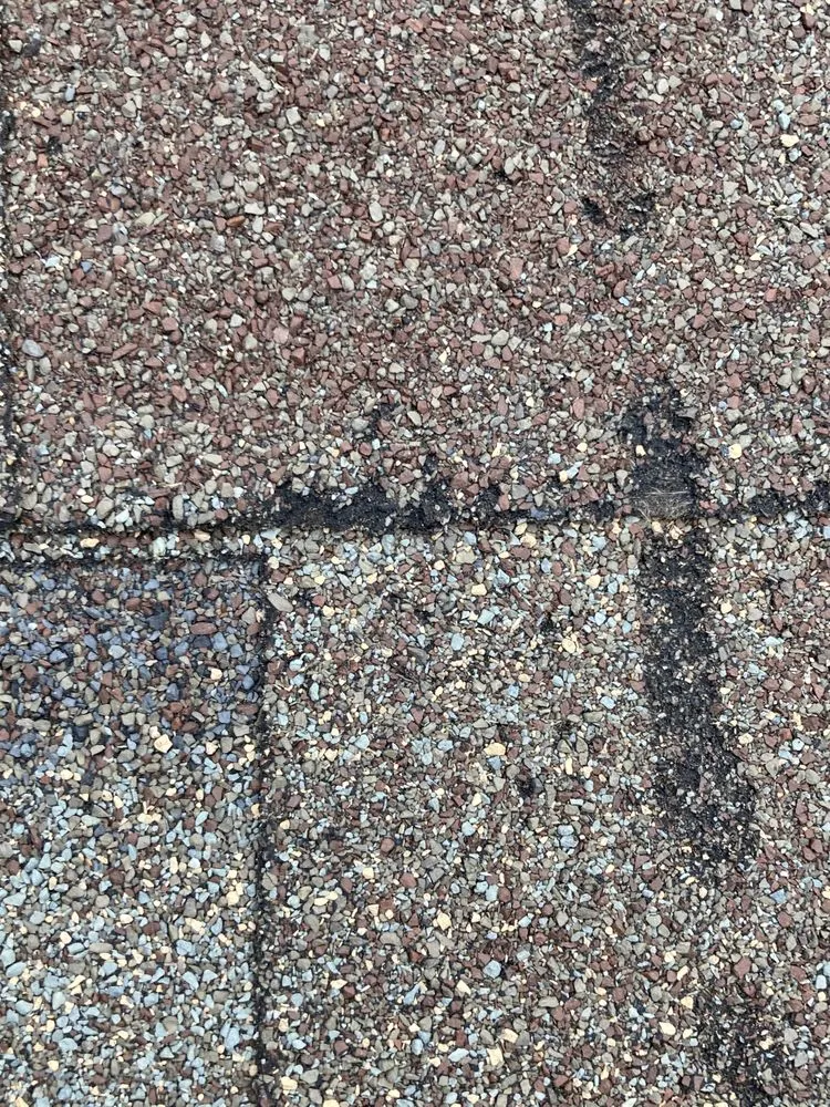 Slide of WM Brooks III