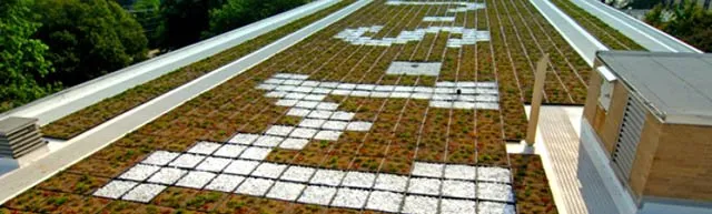 Slide of Wm. Kramer & Son