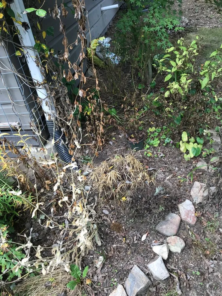 Slide of WNC Wash Pro's