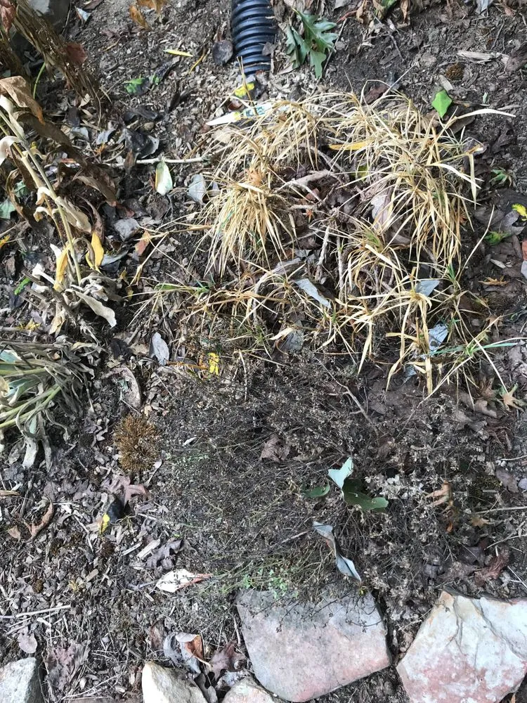 Slide of WNC Wash Pro's