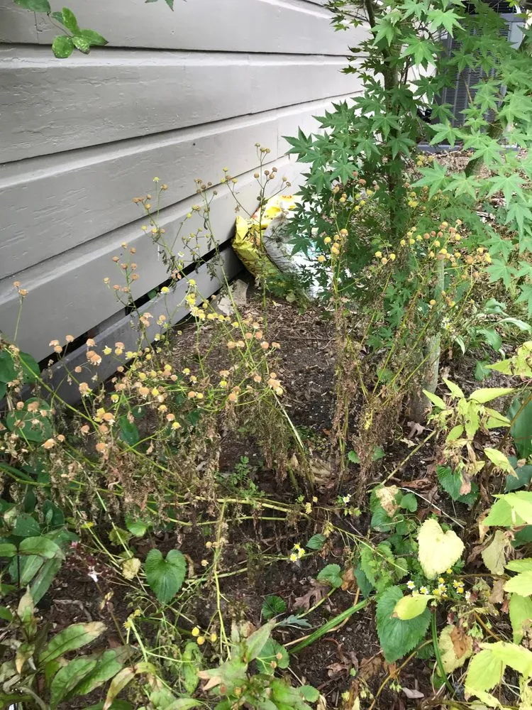 Slide of WNC Wash Pro's