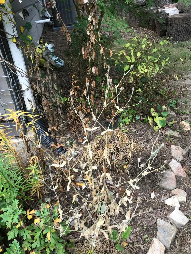 Slide of WNC Wash Pro's