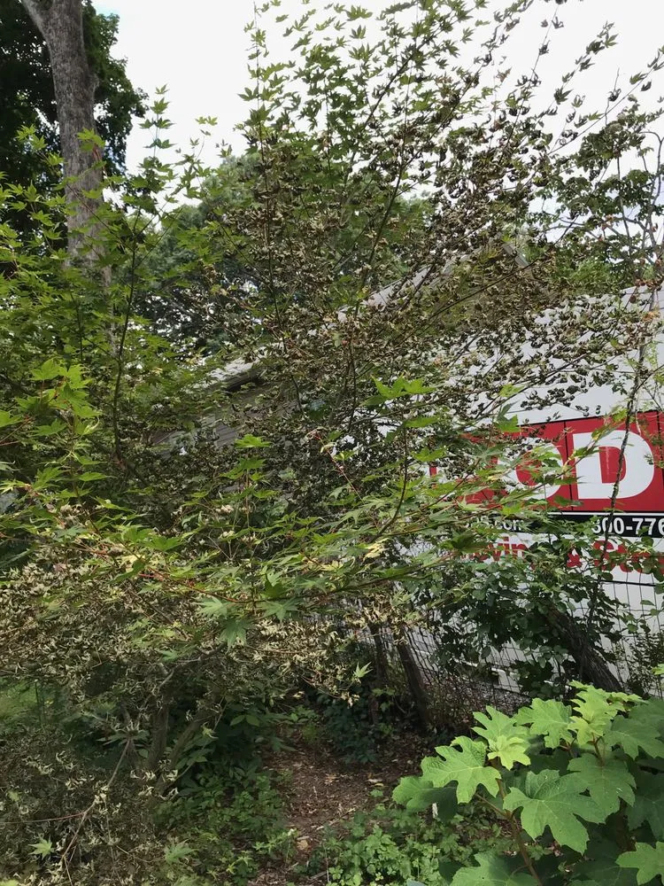 Slide of WNC Wash Pro's