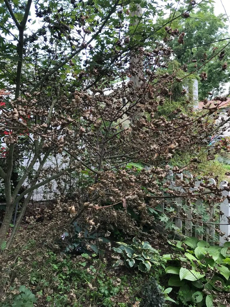 Slide of WNC Wash Pro's