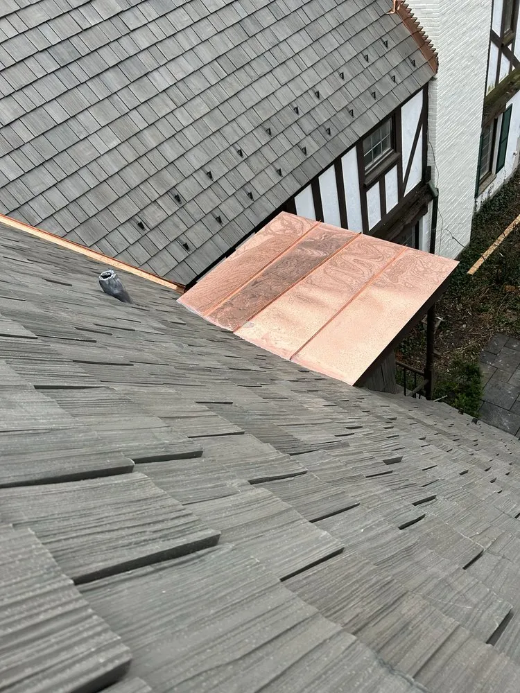 Slide of Wolf Development