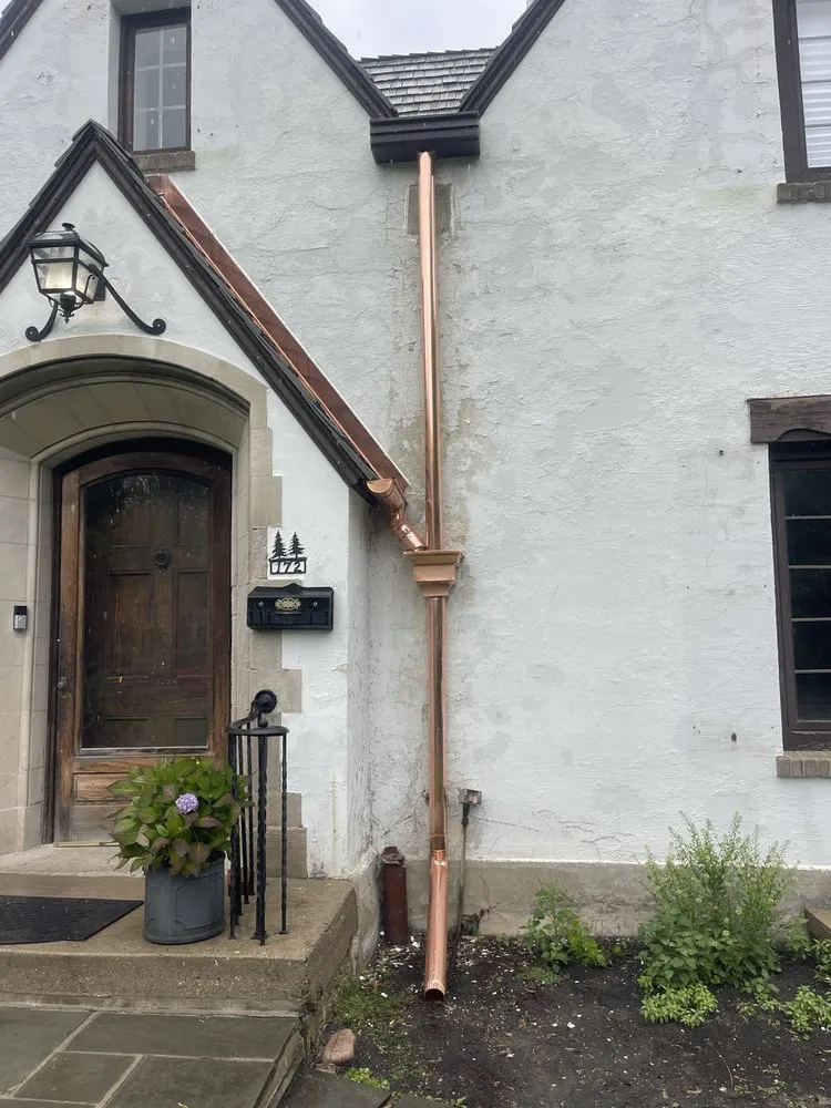 Slide of Wolf Development