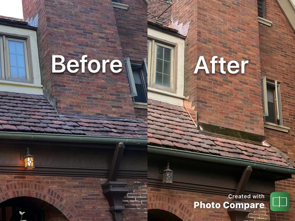 Slide of Wolf Development