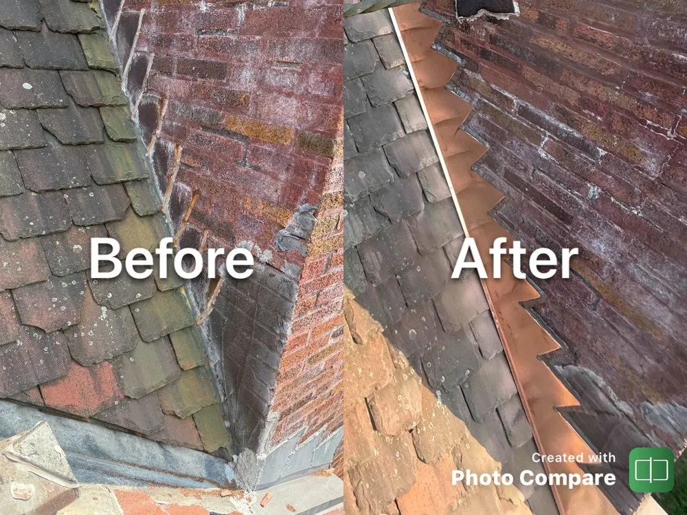 Slide of Wolf Development