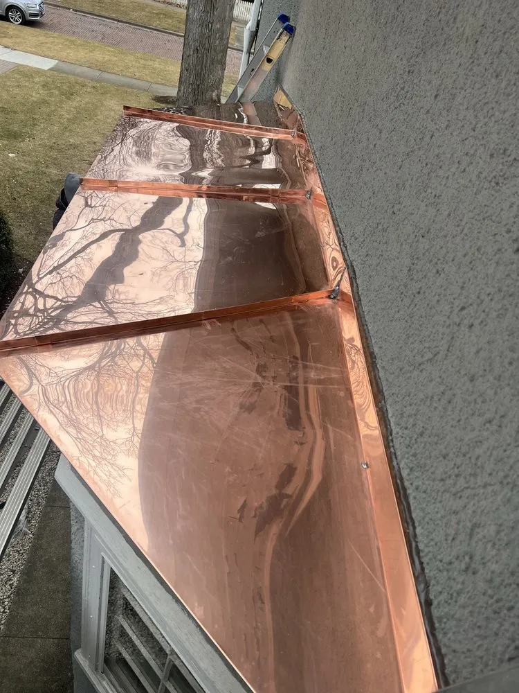 Slide of Wolf Development