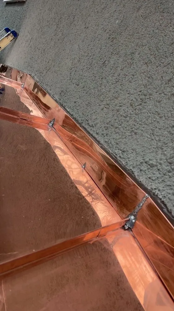 Slide of Wolf Development