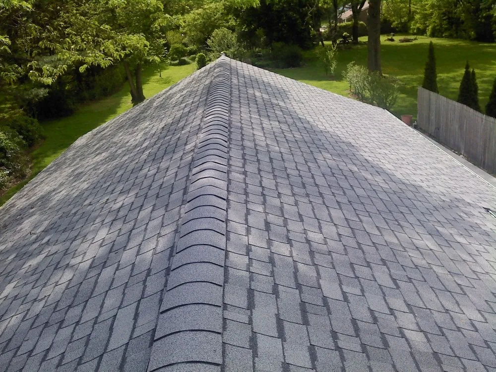 Slide of Wolf Roof Cleaning & Repair