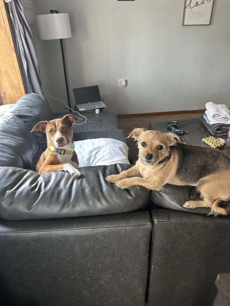 Slide of Wolfe’s Restoration