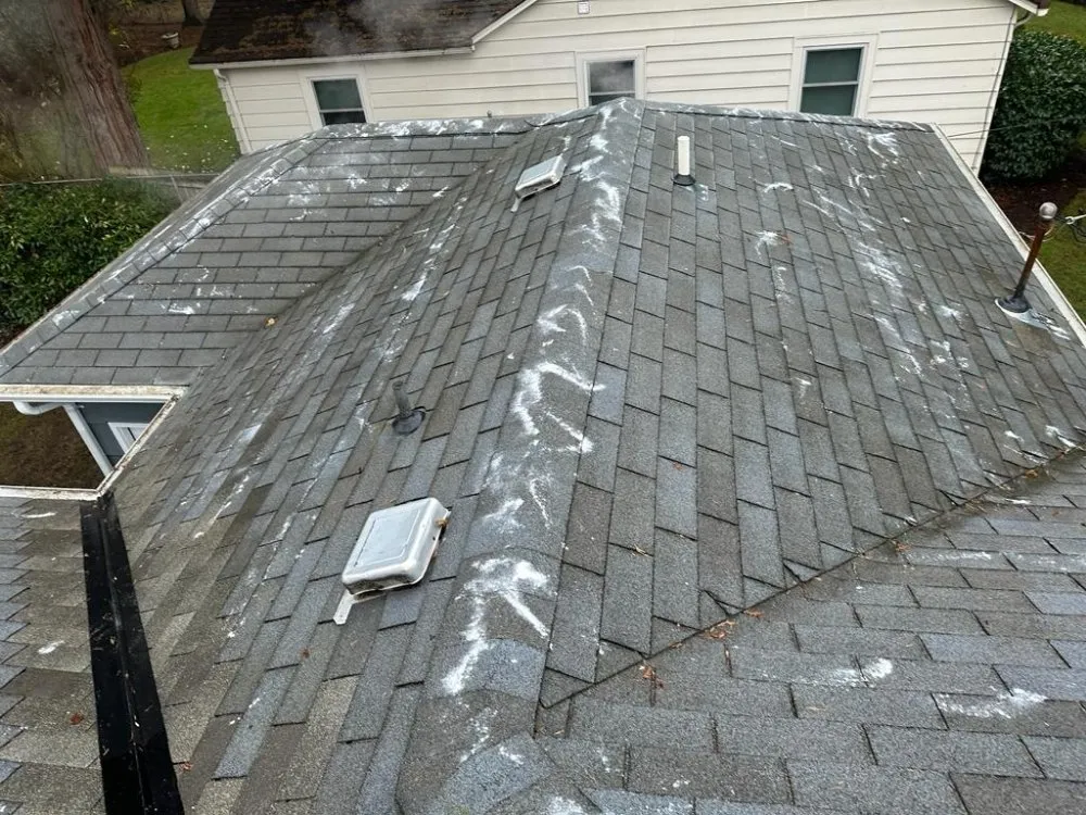 Slide of Wolfpack Construction