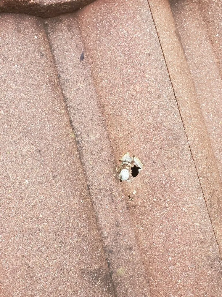 Slide of Wolfpack Roofing