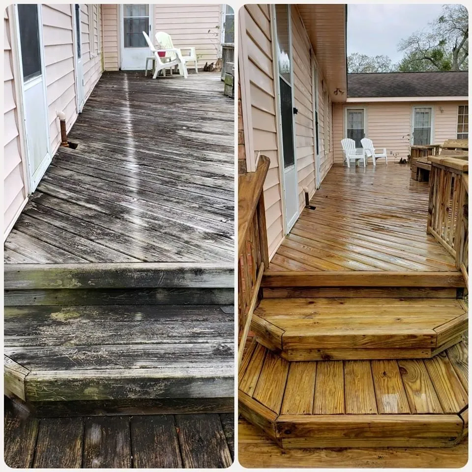 Slide of Wolf's Pro Clean