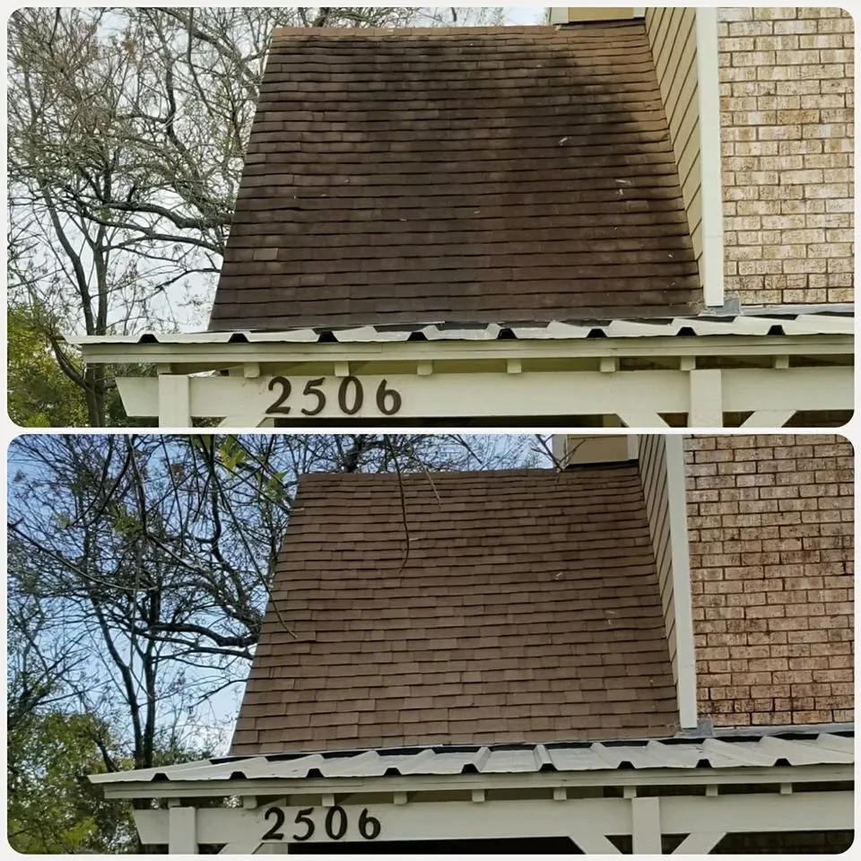 Slide of Wolf's Pro Clean