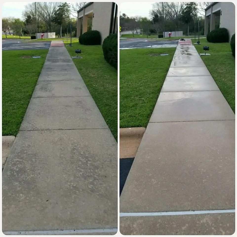 Slide of Wolf's Pro Clean