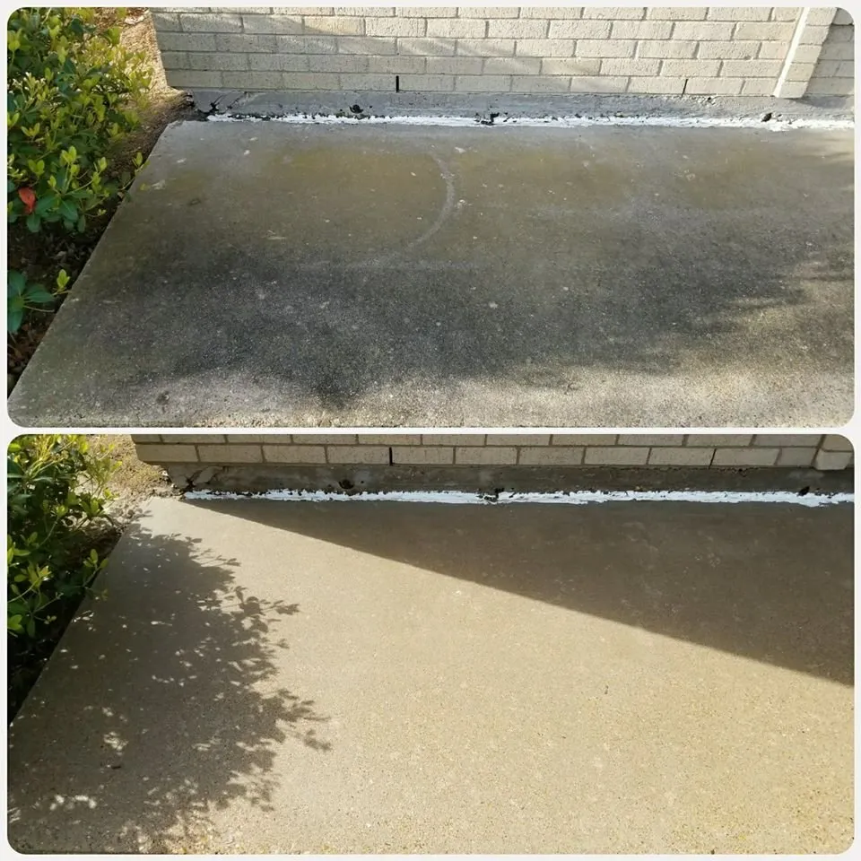 Slide of Wolf's Pro Clean