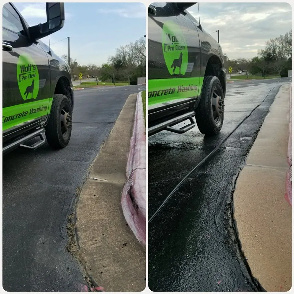 Slide of Wolf's Pro Clean