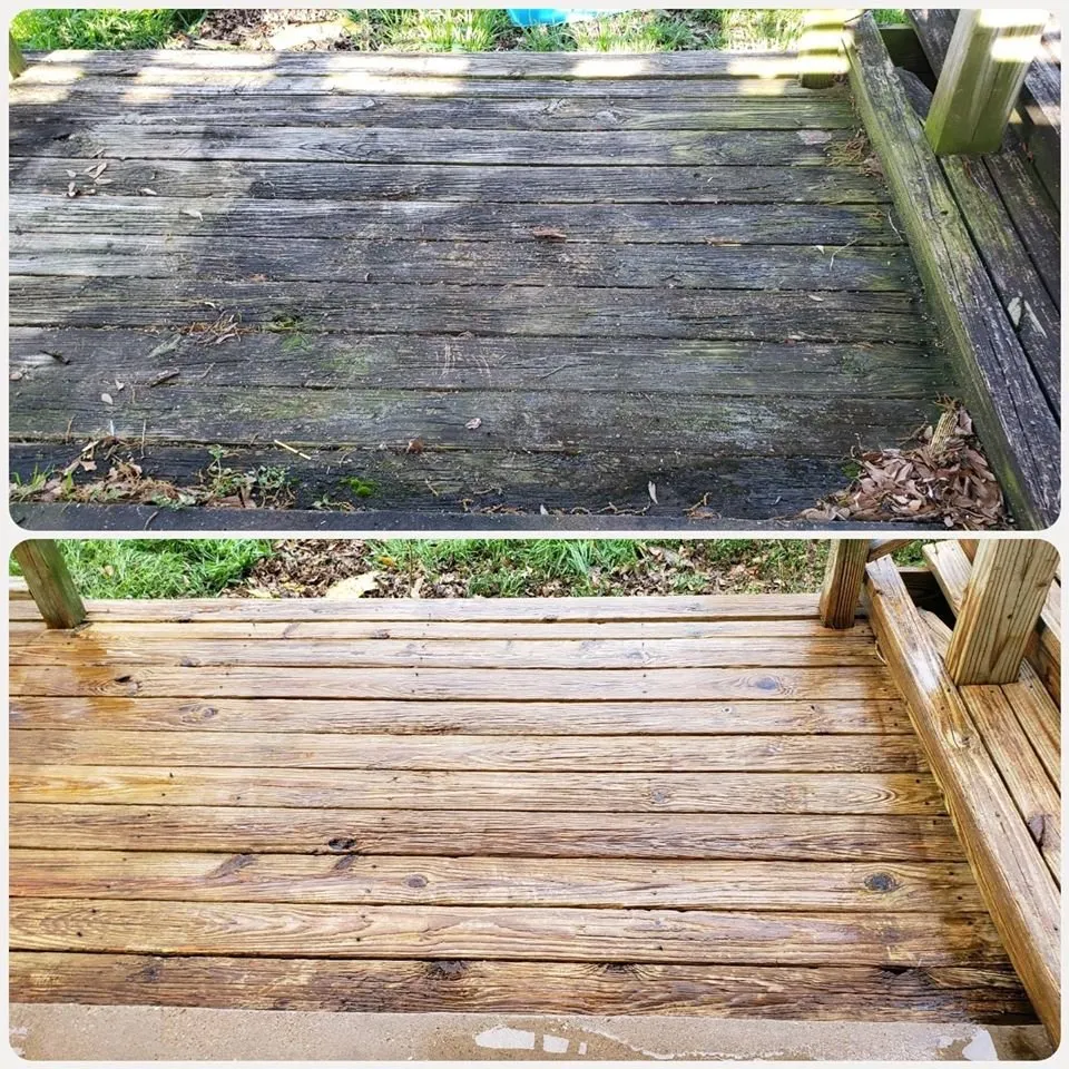 Slide of Wolf's Pro Clean