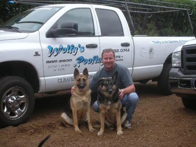 Slide of Wolfy's Roofing