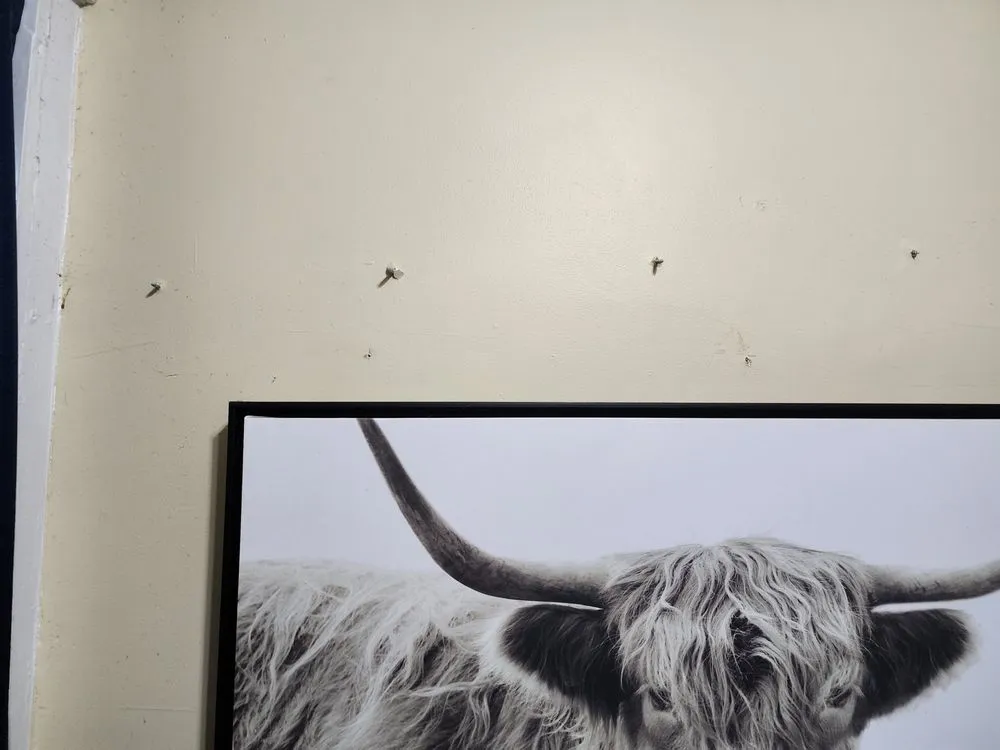 Slide of Wolfy's Roofing