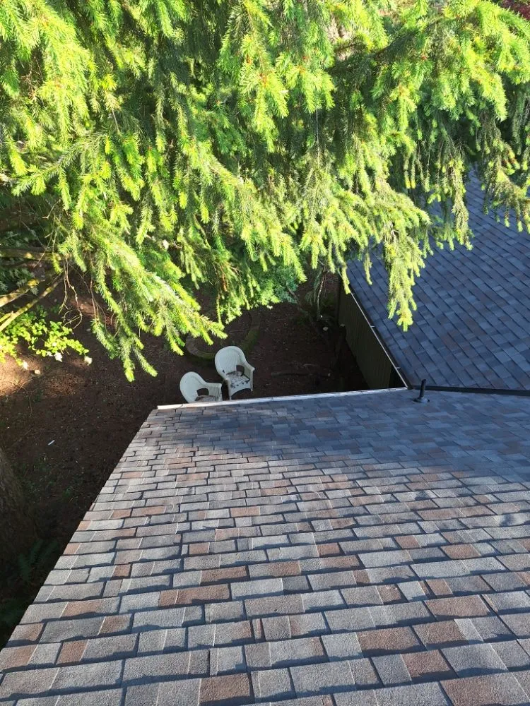 Slide of Wolves D General Contractors