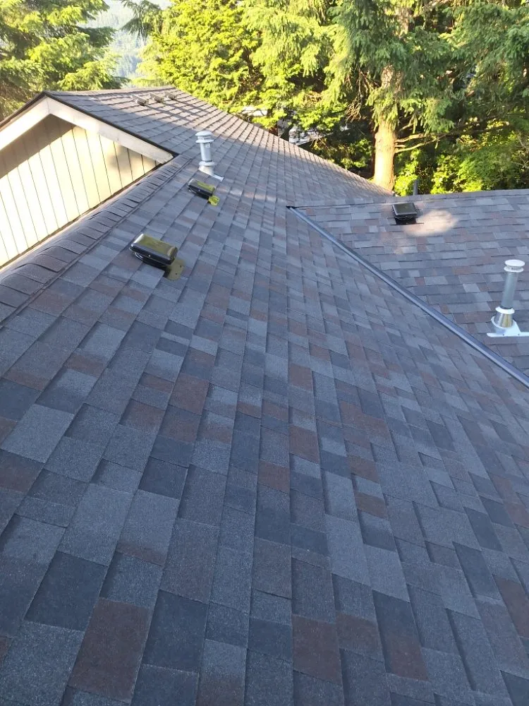 Slide of Wolves D General Contractors