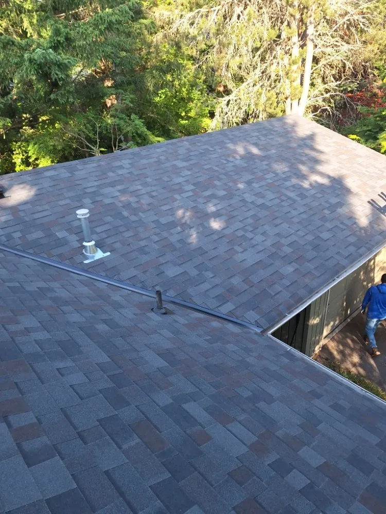 Slide of Wolves D General Contractors