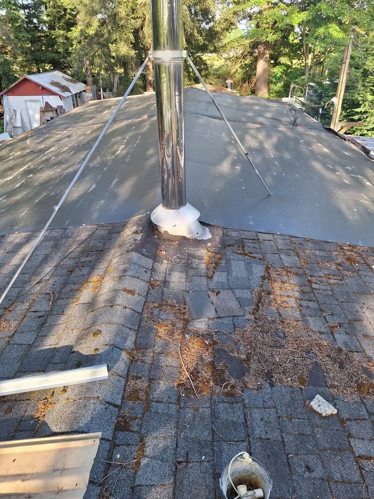 Slide of Wolves D General Contractors