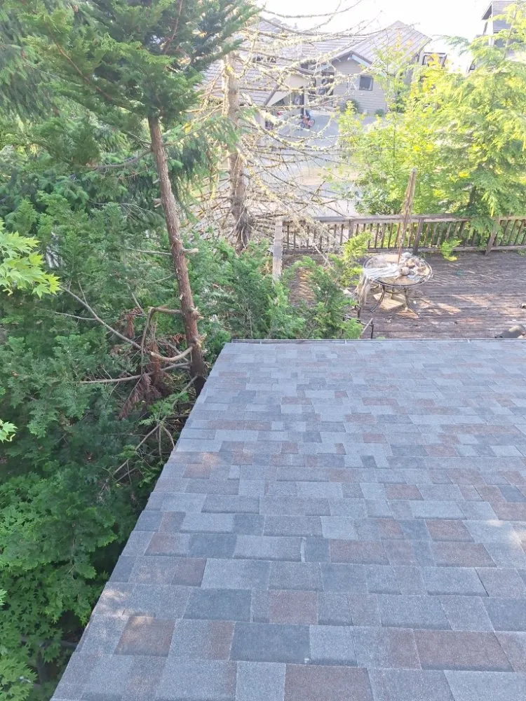 Slide of Wolves D General Contractors