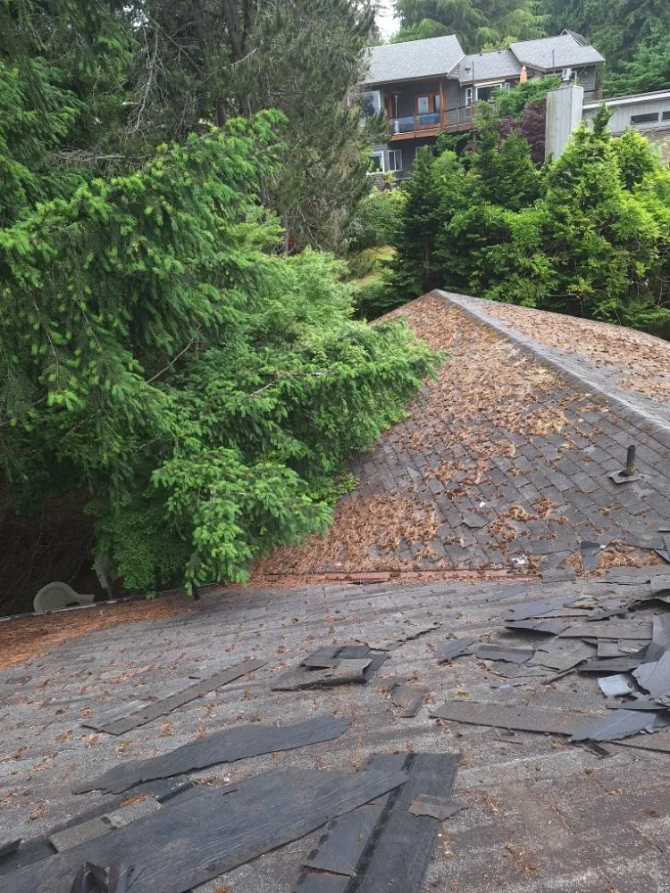 Slide of Wolves D General Contractors