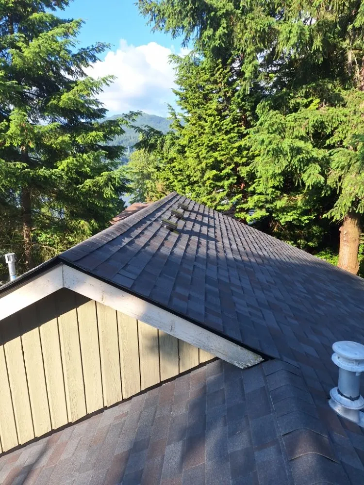 Slide of Wolves D General Contractors