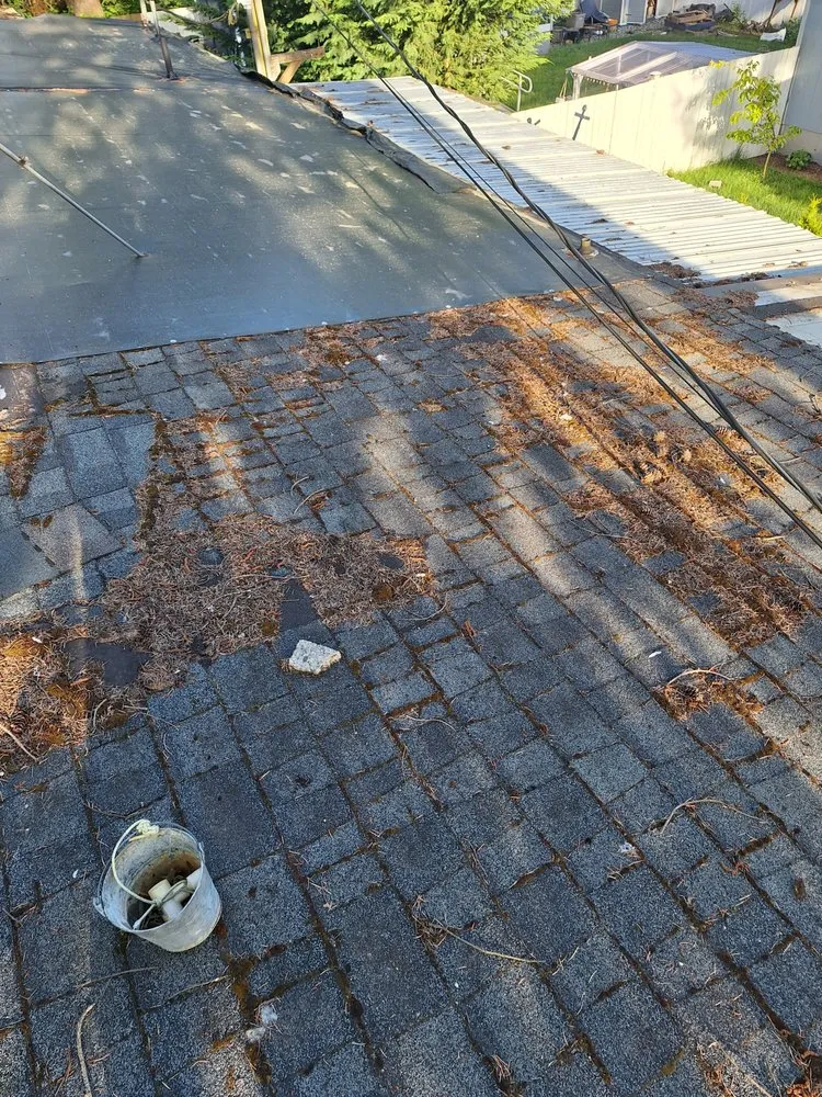 Slide of Wolves D General Contractors