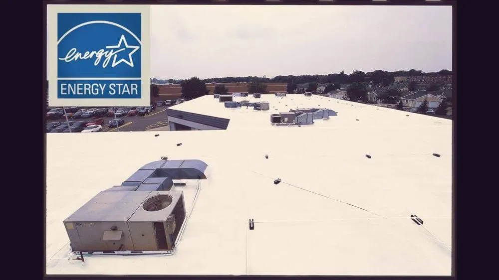 Slide of Wood Work Specialist Construction