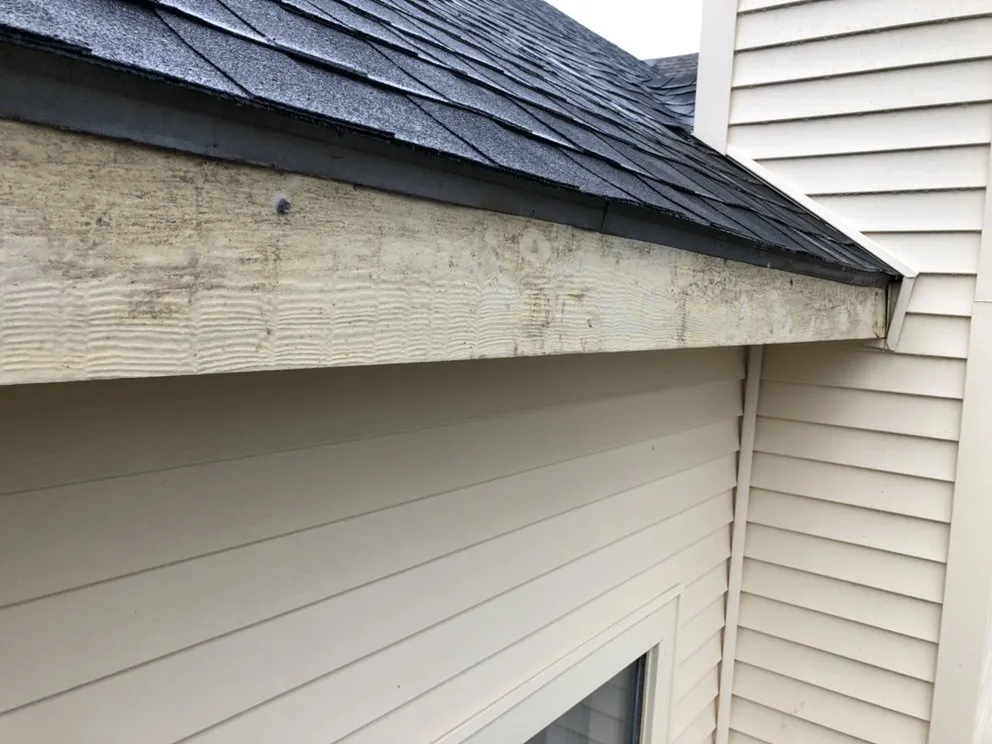 Slide of Wood Work Specialist Construction