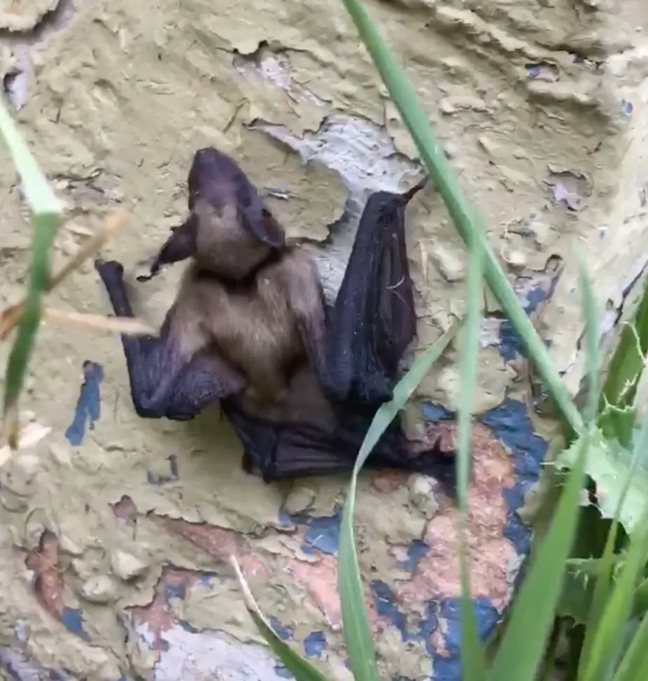 Slide of Woods Roofing & Exteriors