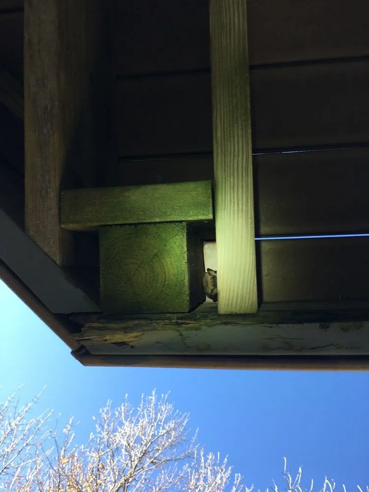 Slide of Woods Roofing & Exteriors