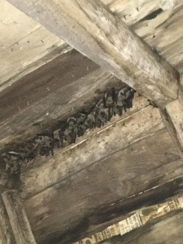 Slide of Woods Roofing & Exteriors