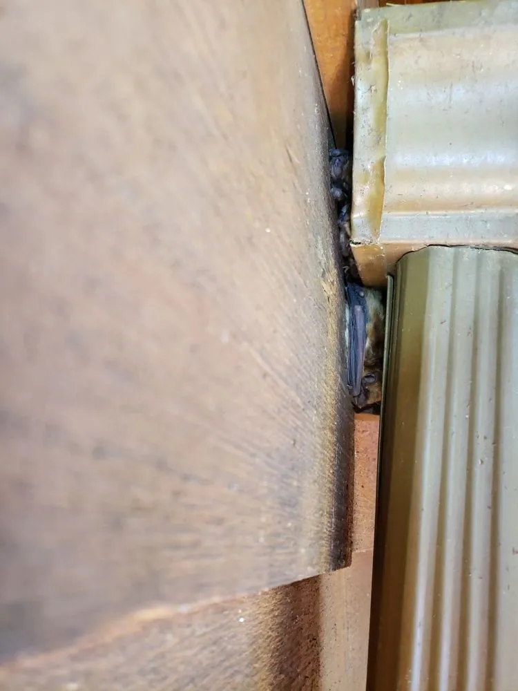 Slide of Woods Roofing & Exteriors