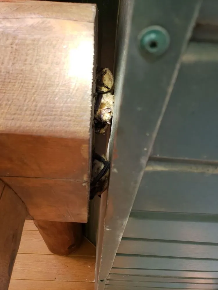 Slide of Woods Roofing & Exteriors