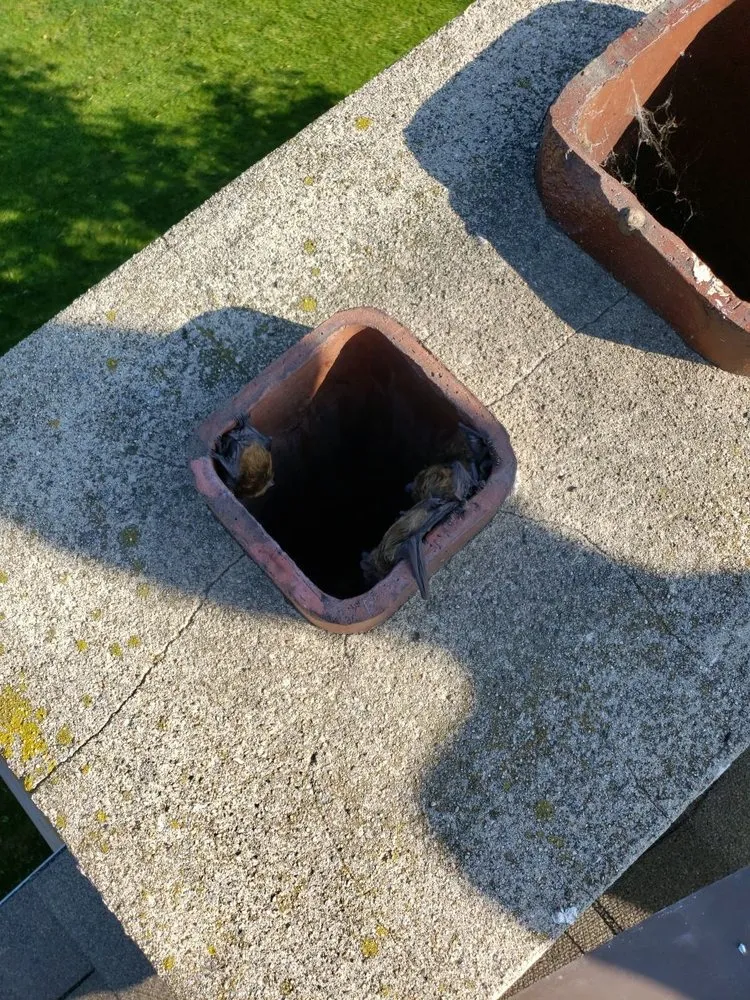 Slide of Woods Roofing & Exteriors