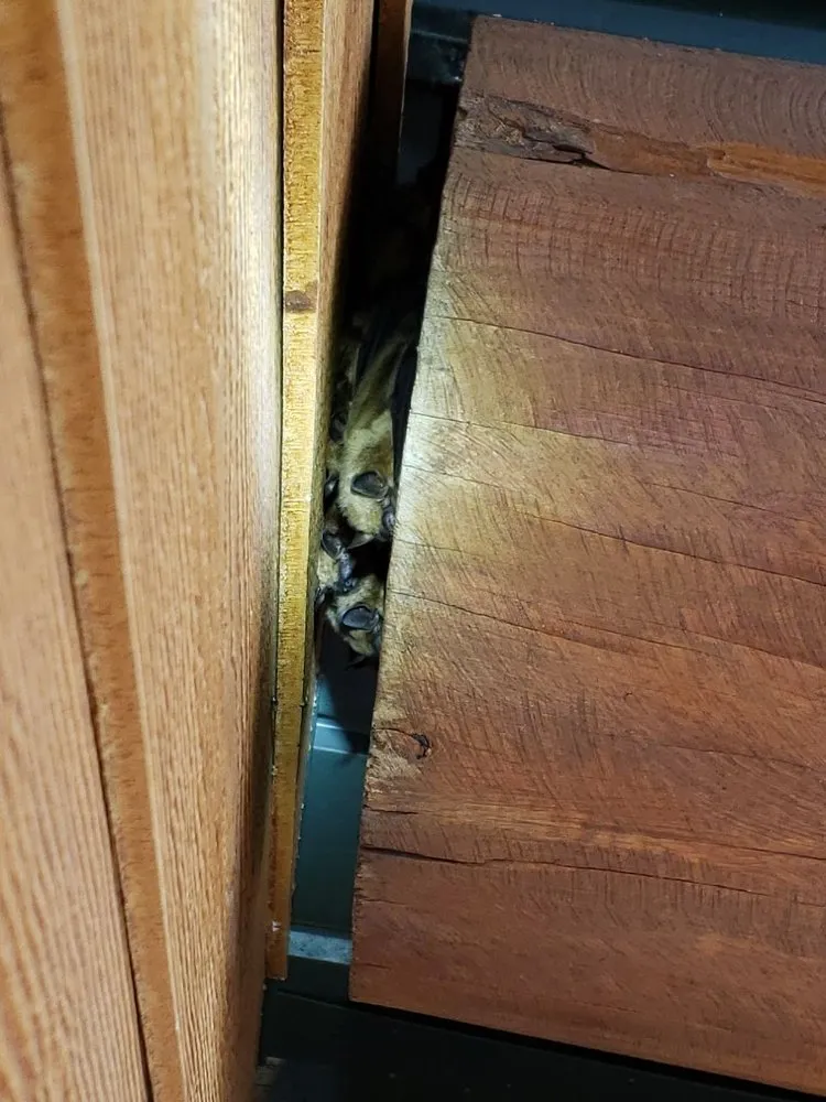 Slide of Woods Roofing & Exteriors